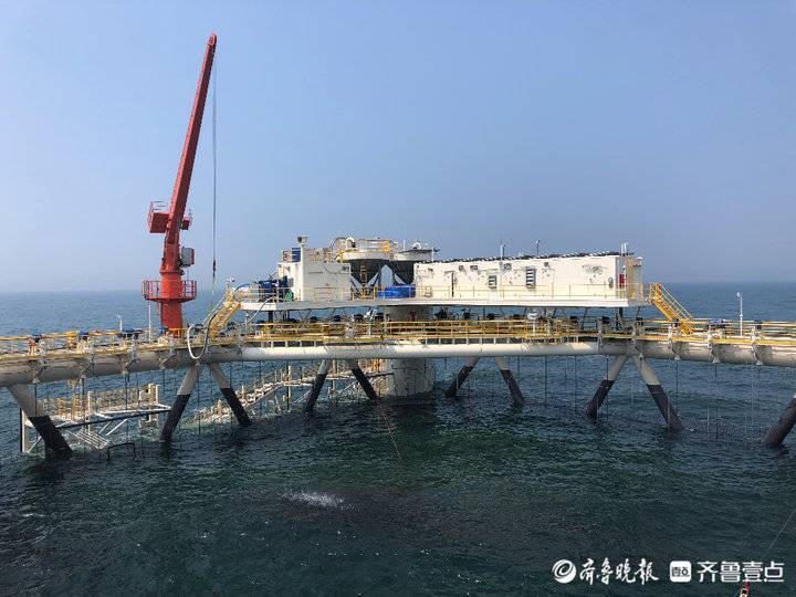 挺進深海，唱響“經(jīng)海”牧歌！煙臺開啟向海圖強新征程
