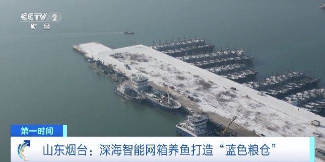 全年不間斷養殖！深海智能網箱養魚打造“藍色糧倉”