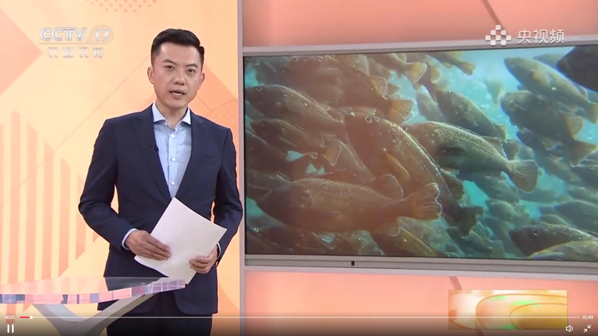 【沉甸甸的收獲】山東煙臺：深海智能網箱養魚打造“藍色糧倉”