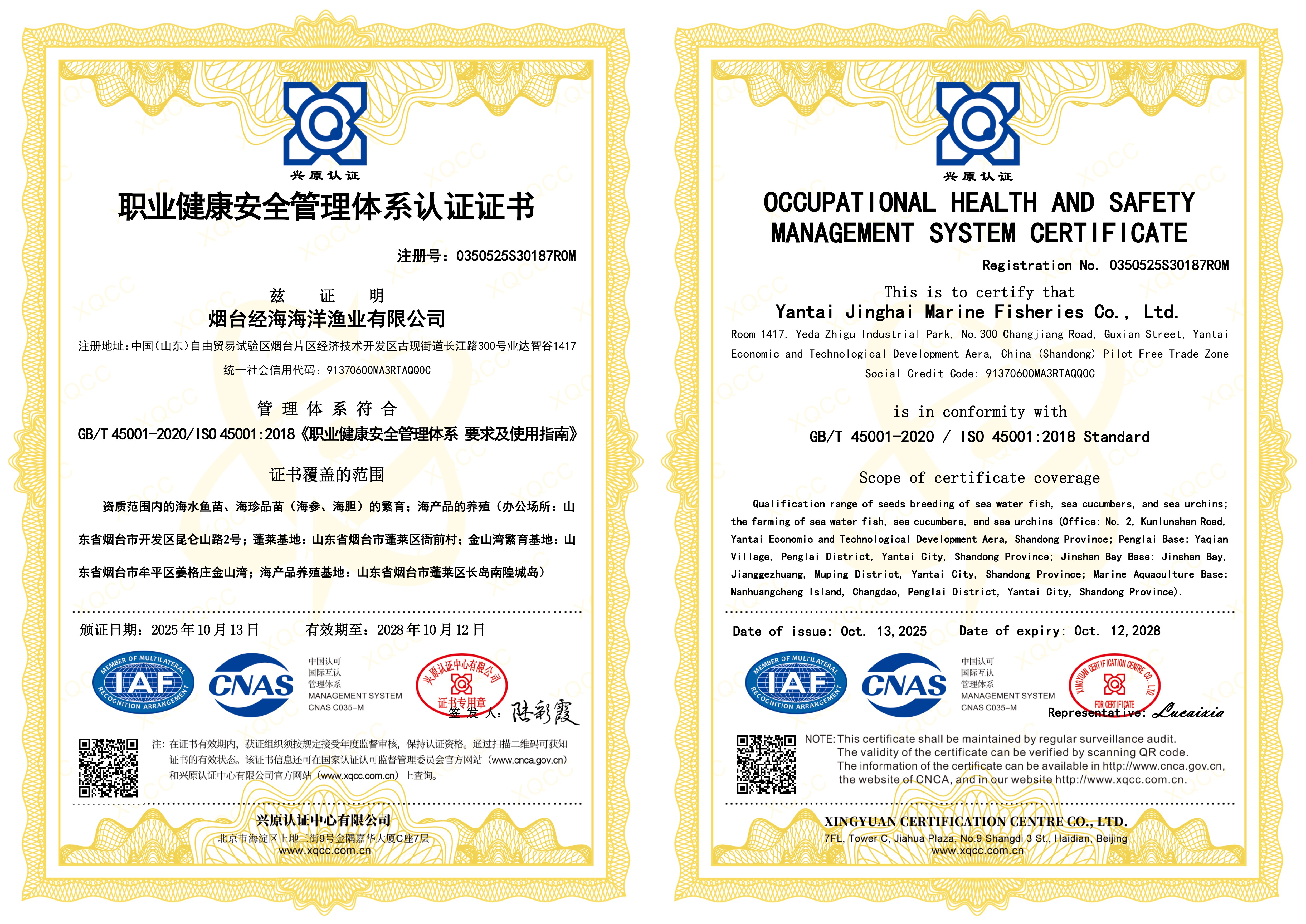 經海成功通過ISO14001環境管理體系和ISO45001職業健康安全管理體系認證｜以國際標準鑄就可持續發展與員工安康的堅實基石