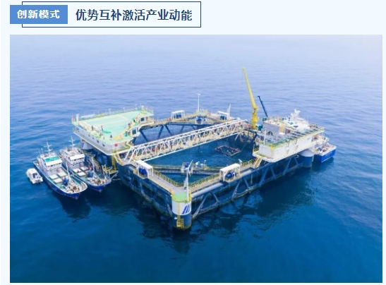 長島×圍場共譜“山海協作”新篇章｜經海漁業&清青漁業啟動“木蘭1號”陸海接力深遠海養殖新模式！