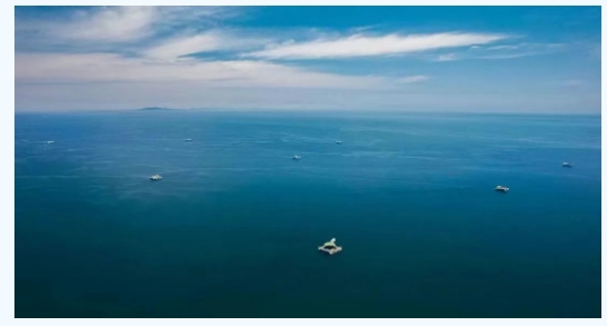引領深遠海養殖工業化新范式｜經海深海虹鱒入選“海洋牧場產品生產典型案例”